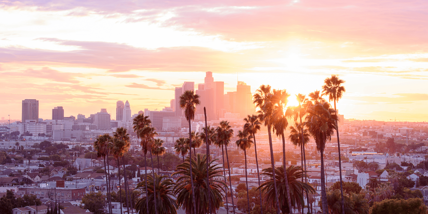 Los Angeles in the sunset with palm trees. Aesthetic Travel, travel with family, kids and couples.