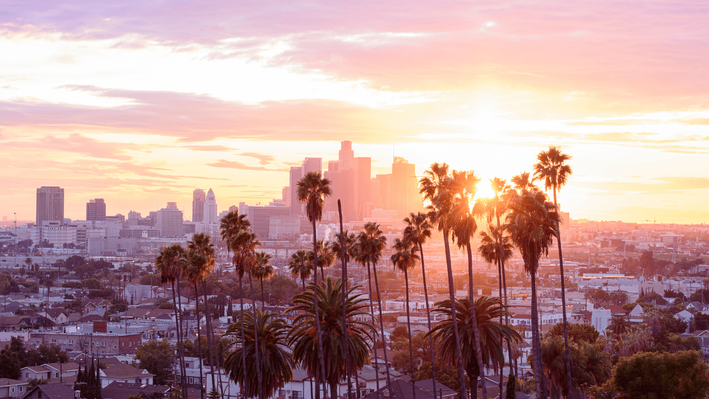 Los Angeles in the sunset with palm trees. Aesthetic Travel, travel with family, kids and couples.