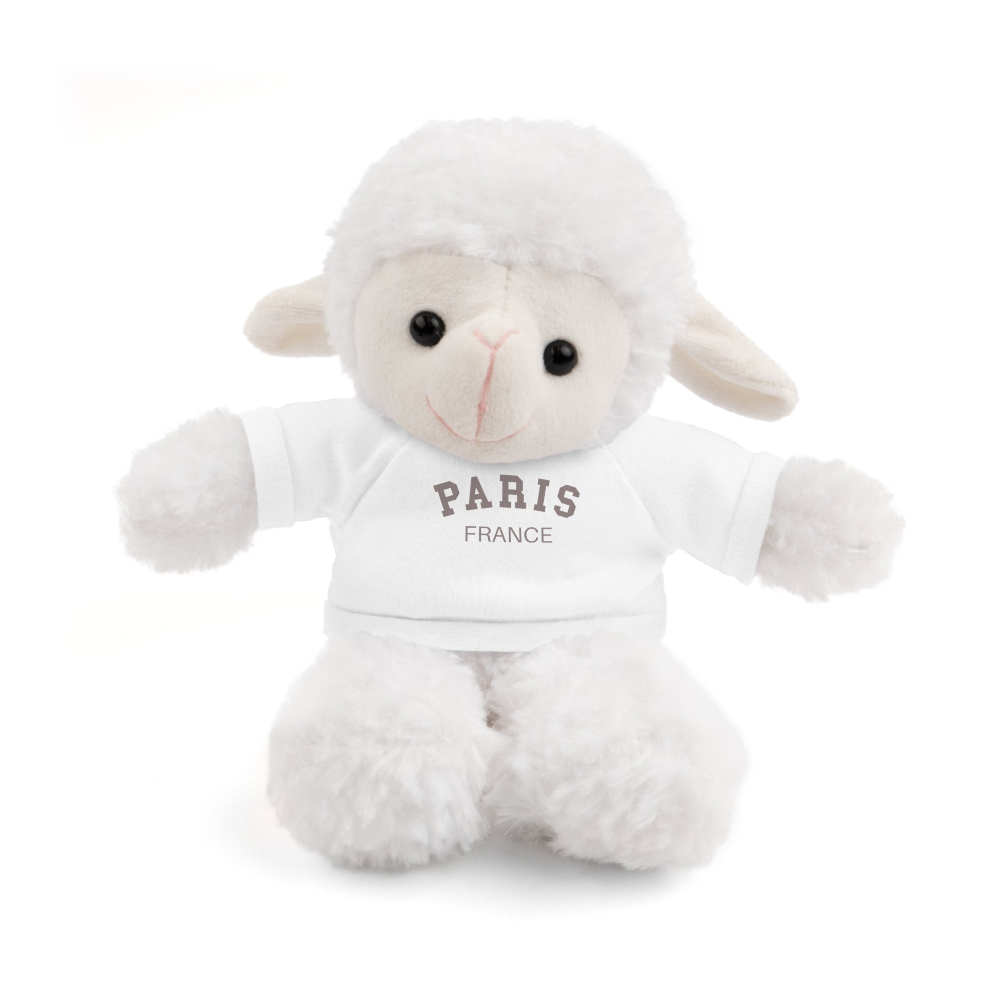 Paris, France Mini Stuffed Animal with Tee