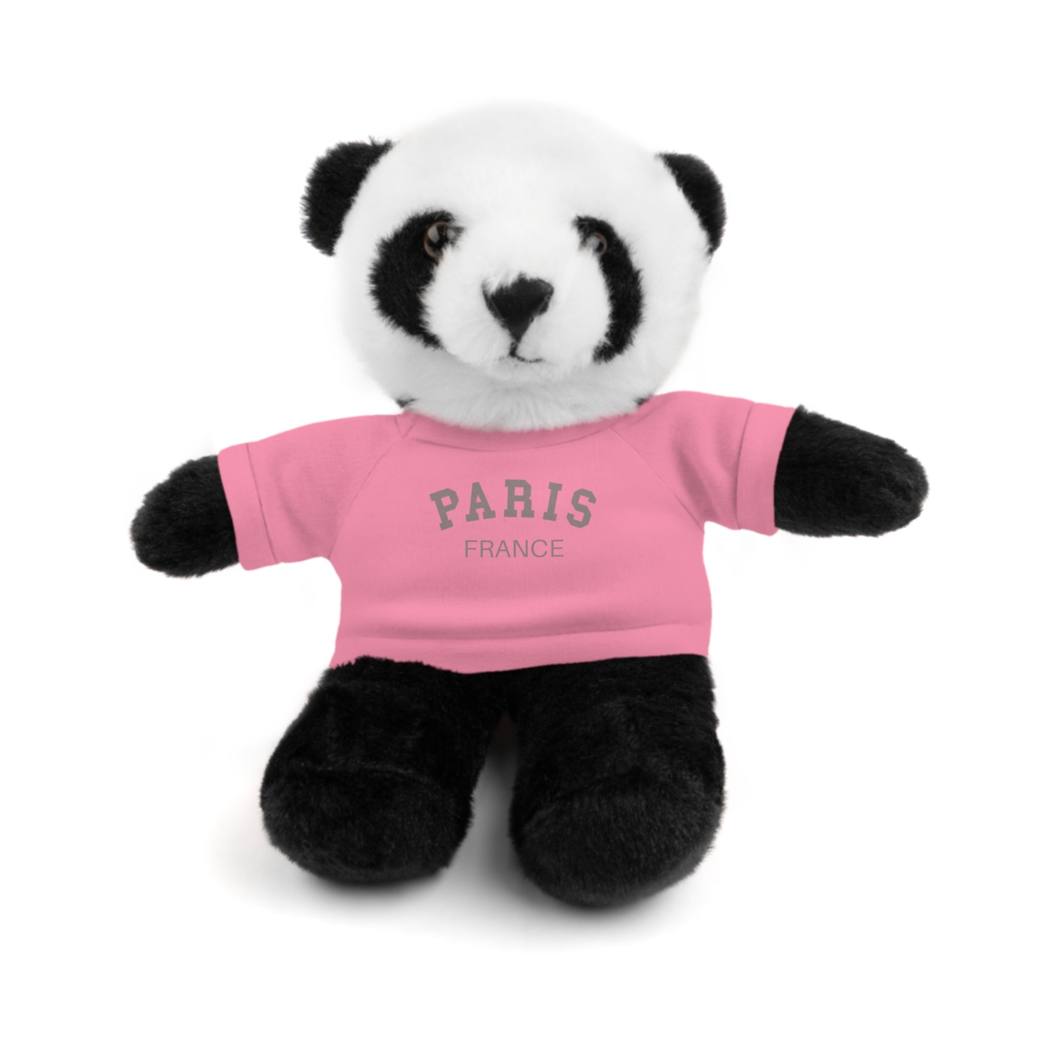 Paris, France Mini Stuffed Animal with Tee