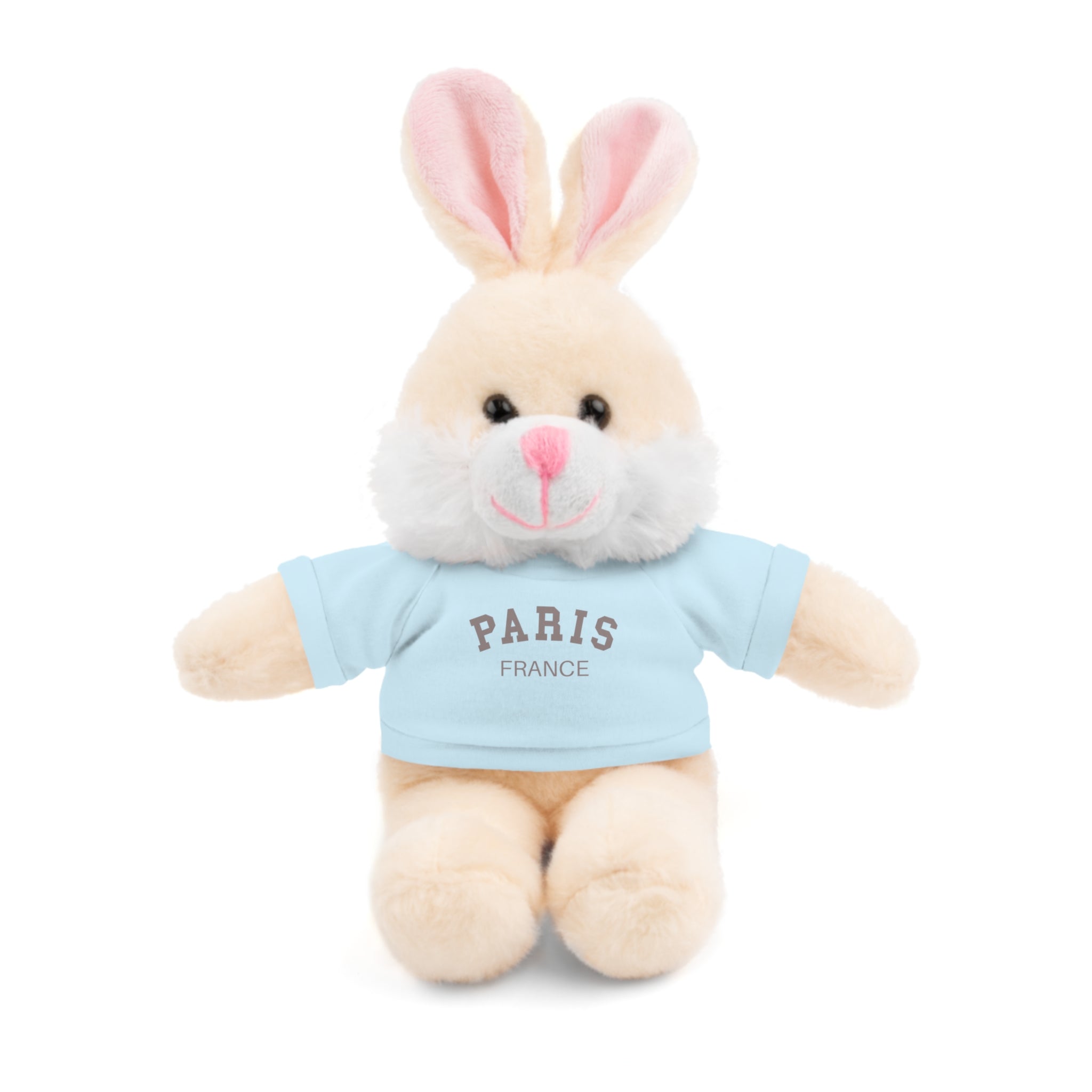 Paris, France Mini Stuffed Animal with Tee