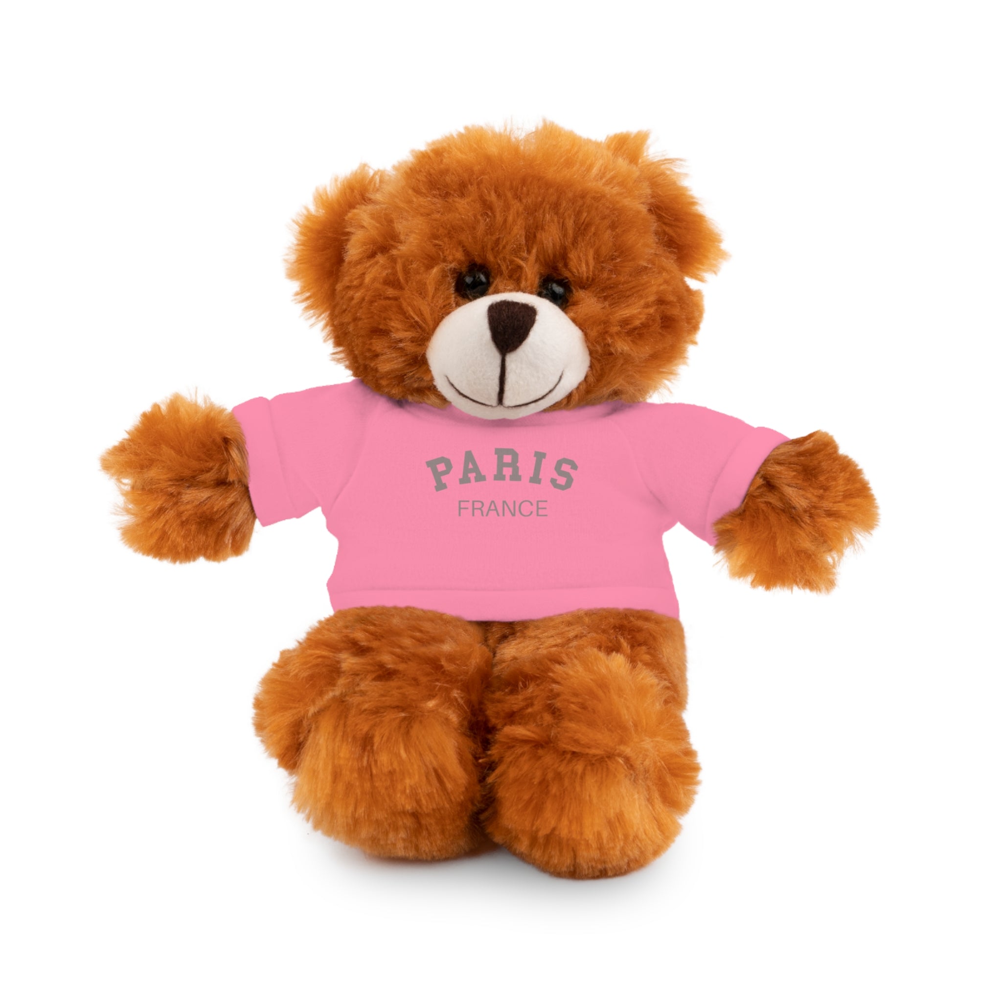 Paris, France Mini Stuffed Animal with Tee