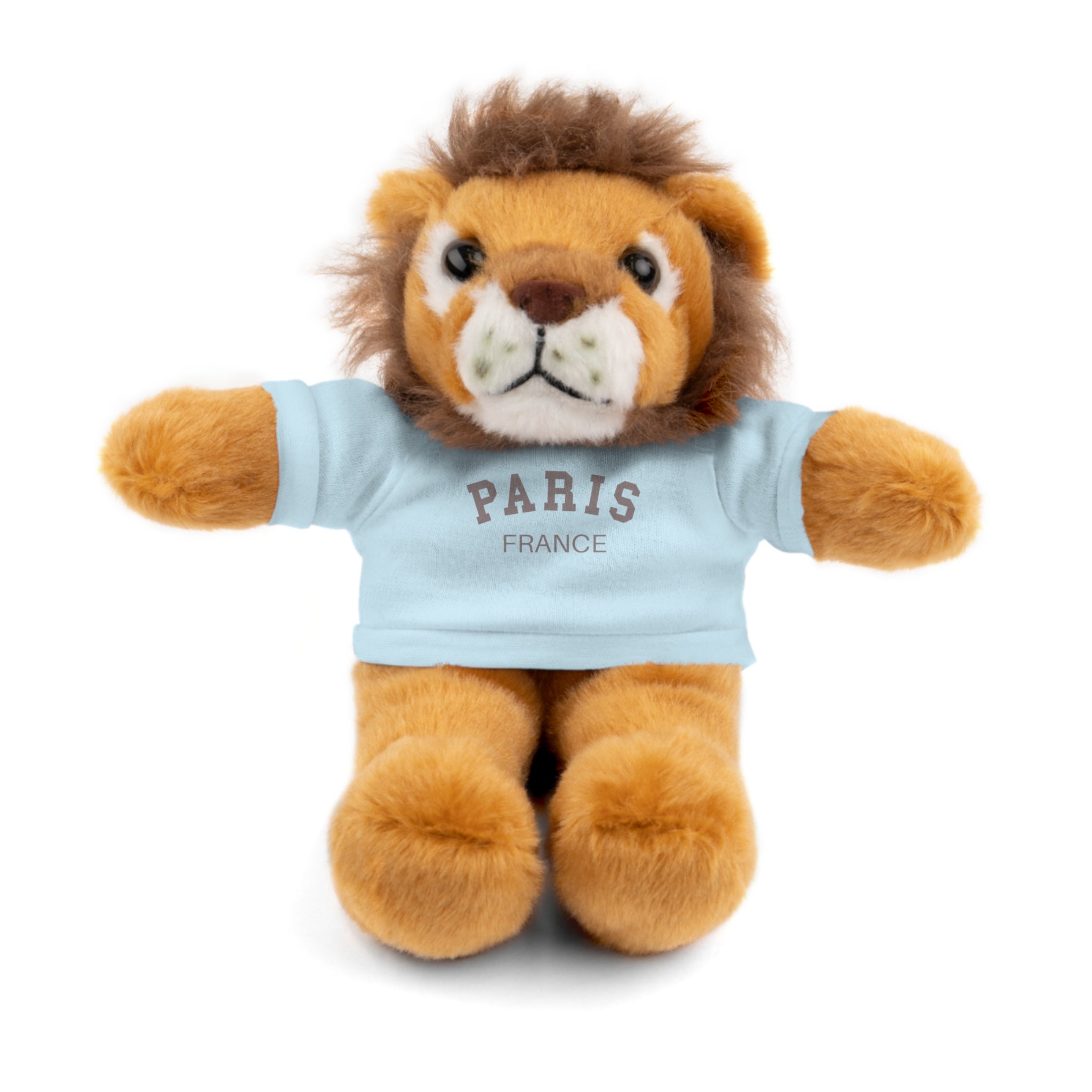 Paris, France Mini Stuffed Animal with Tee