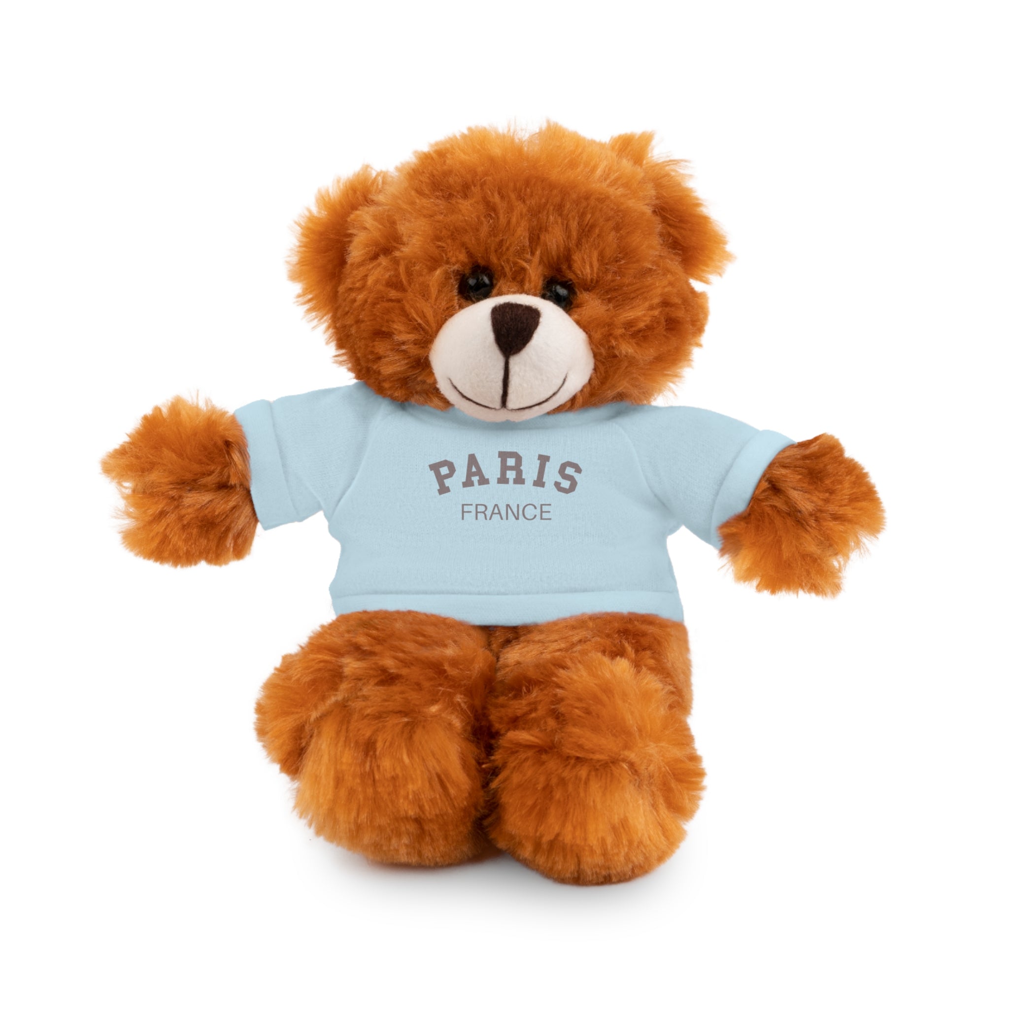 Paris, France Mini Stuffed Animal with Tee