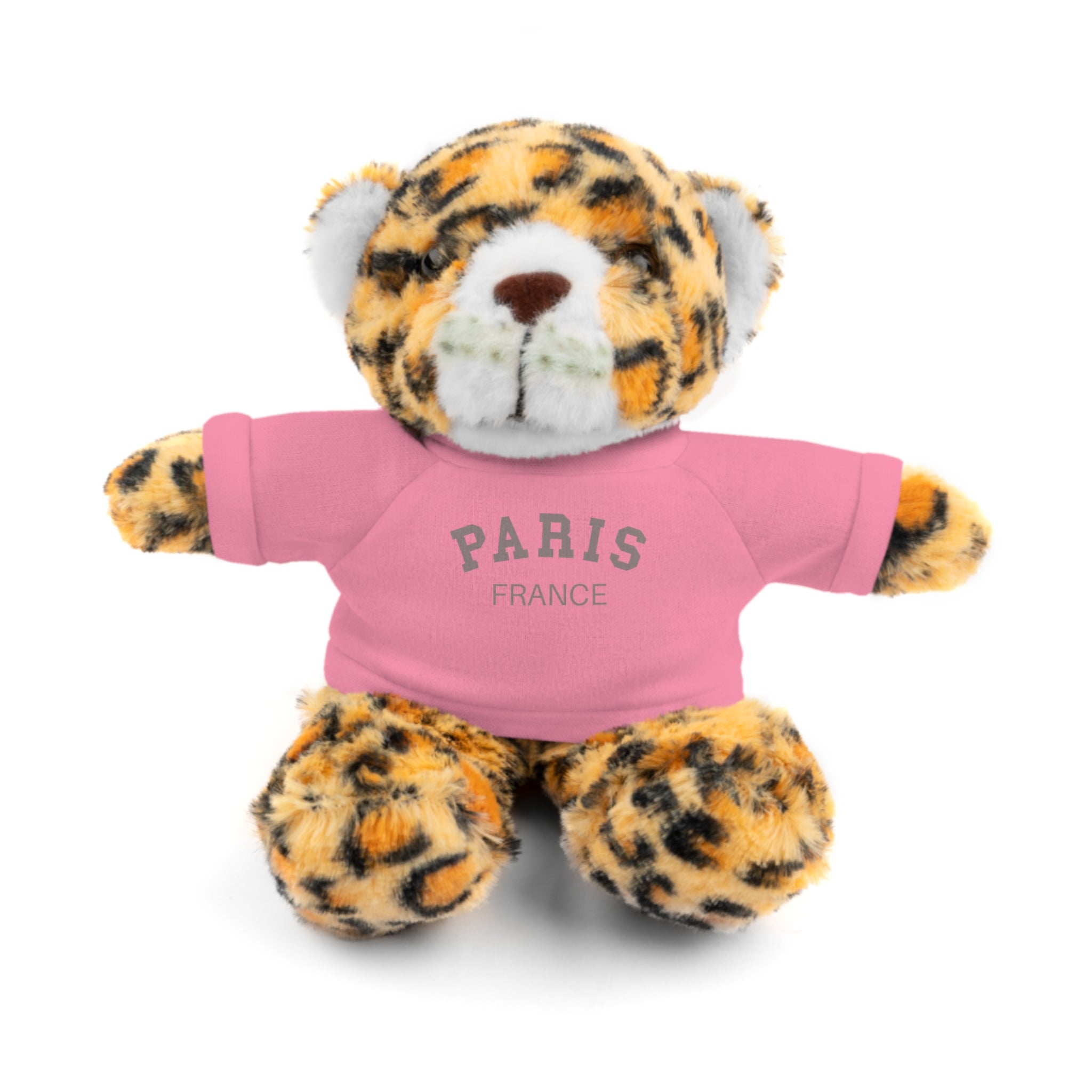 Paris, France Mini Stuffed Animal with Tee