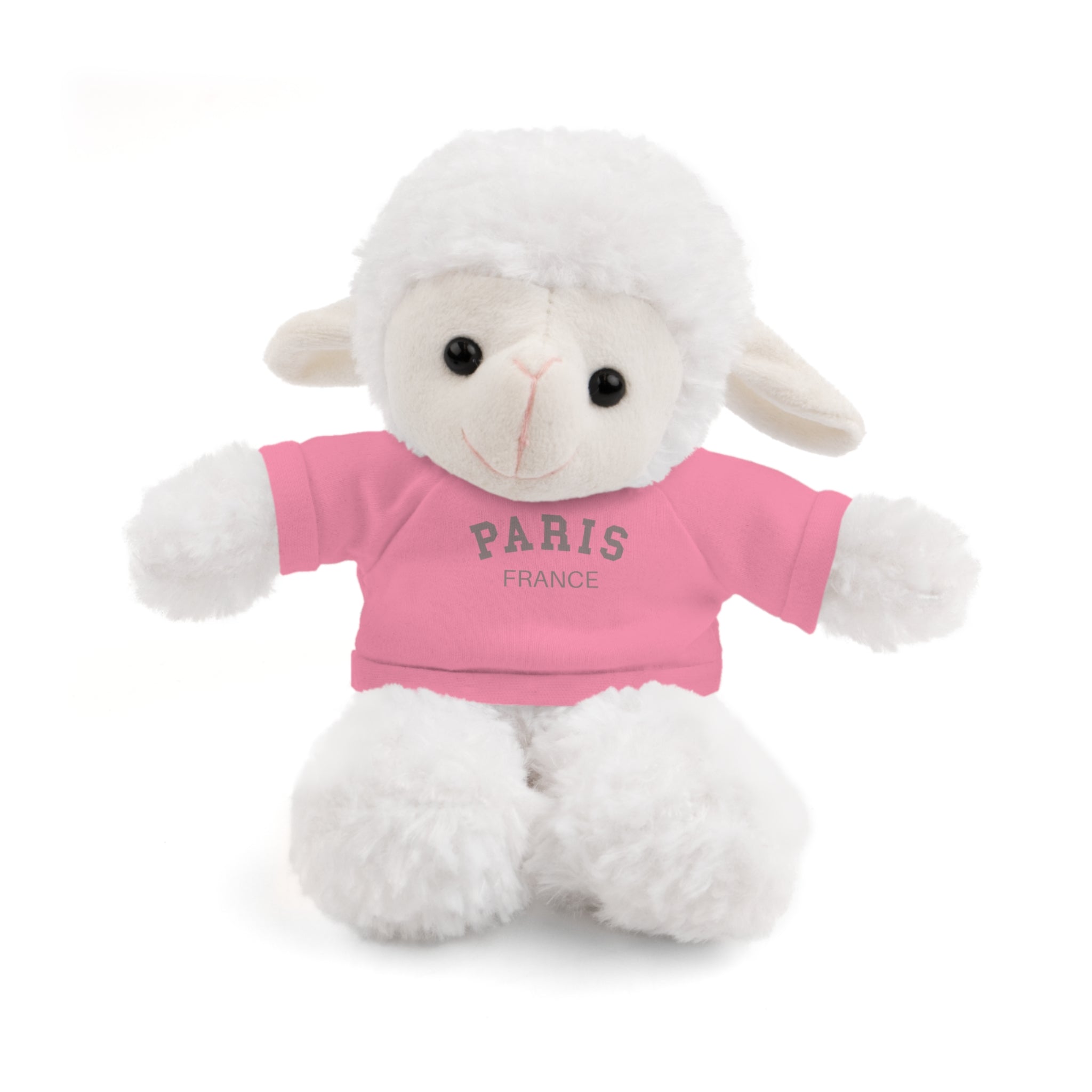 Paris, France Mini Stuffed Animal with Tee